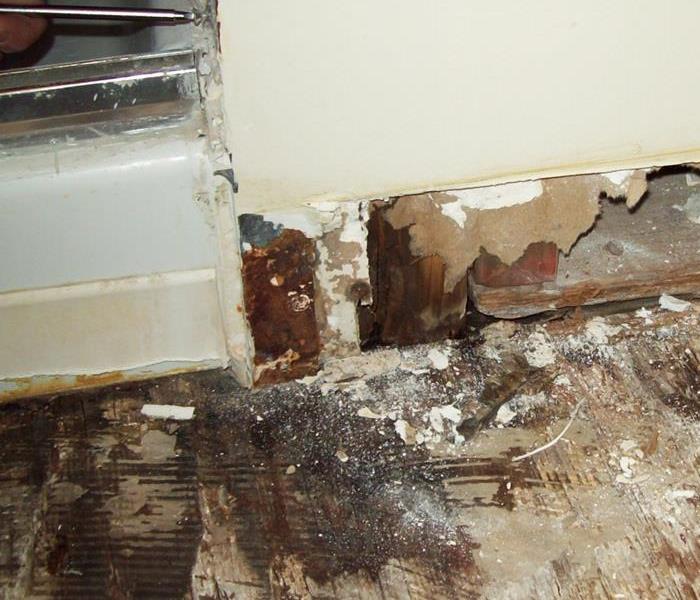 mold in bathroom due to a water damaged 