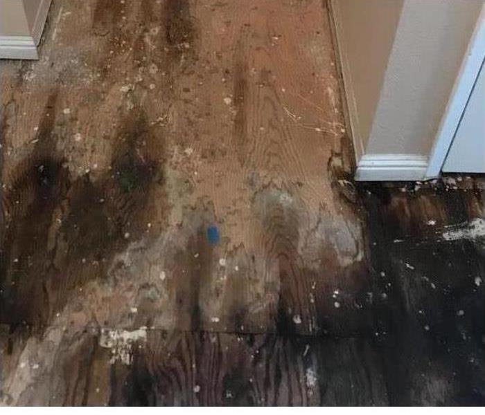 water damage to the floor.